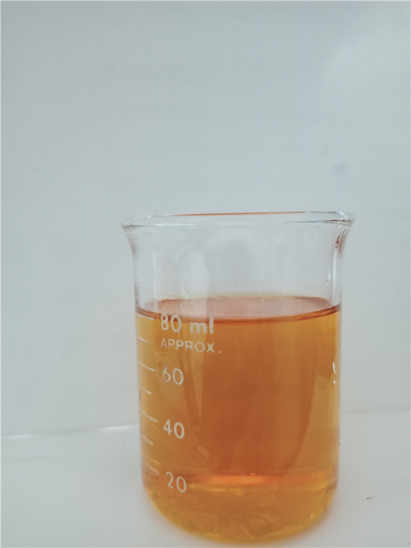 &#26032;&#21033;&#20307;&#32946;